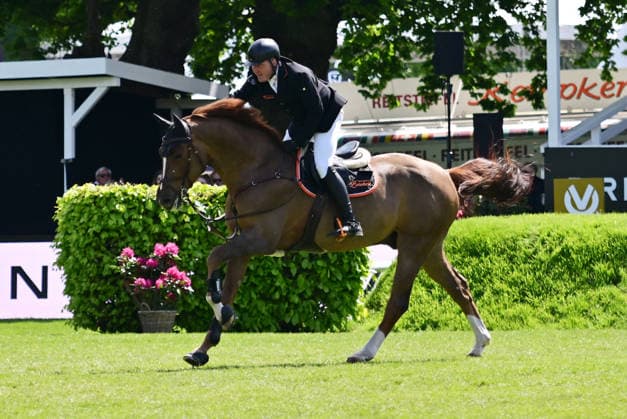 GER; Al Shira aa Deutsches Spring- & Dressur Derby Hamburg 15.05.2026, GER; Al Shira aa Deutsches Spring- & Dressur Derby Hamburg, Preis der Dreame.de - CSI4* Al Shira aa Derby Tour: 2. Qualifikation zum Deutsches Spring-Derby im Bild Max-Hilmar Borchert (GER) auf Camillus 5