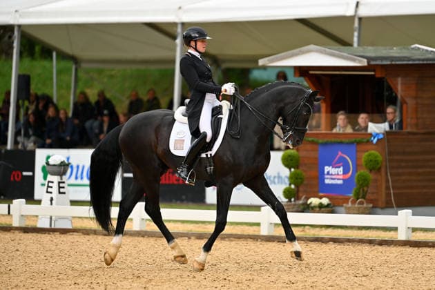 Katharina HEMMER auf Special Gold PCH, Aktion,Dressur,Dressurreiten. Pferd International 2026 am 15.05.2026 in Muenchen-Riem,Olympia Reitanlage. Â