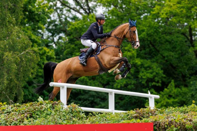 HAMBURG - Al Shira aa 95. Deutsches Spring- und Dressur DERBY 2026, HAMBURG - Al Shira aa 95. Deutsches Spring- und Dressur DERBY 2026 TILLMANN Frederic (GER), DSP Comanche VL Melitta presents: 94. German Jumping-Derby Al Shira aa Derby Tour CSI4*: Int. jumping competition with jump-off (1,55m) Hamburg, Jenischpark, Derby Park Klein Flottbek 17. May 2026 -