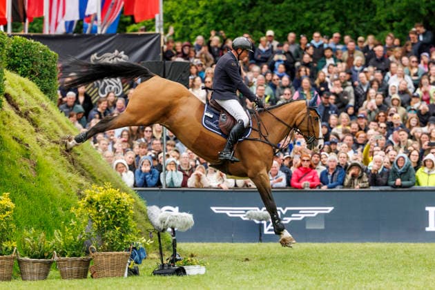 HAMBURG - Al Shira aa 95. Deutsches Spring- und Dressur DERBY 2026, HAMBURG - Al Shira aa 95. Deutsches Spring- und Dressur DERBY 2026 TILLMANN Frederic (GER), DSP Comanche VL Melitta presents: 94. German Jumping-Derby Al Shira aa Derby Tour CSI4*: Int. jumping competition with jump-off (1,55m) Hamburg, Jenischpark, Derby Park Klein Flottbek 17. May 2026 -