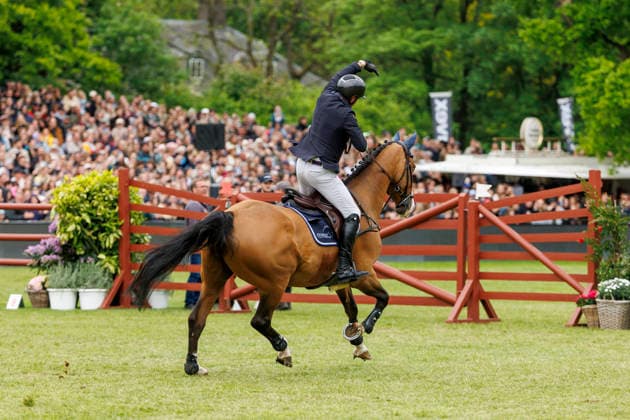 HAMBURG - Al Shira aa 95. Deutsches Spring- und Dressur DERBY 2026, HAMBURG - Al Shira aa 95. Deutsches Spring- und Dressur DERBY 2026 TILLMANN Frederic (GER), DSP Comanche VL Melitta presents: 94. German Jumping-Derby Al Shira aa Derby Tour CSI4*: Int. jumping competition with jump-off (1,55m) Hamburg, Jenischpark, Derby Park Klein Flottbek 17. May 2026 -
