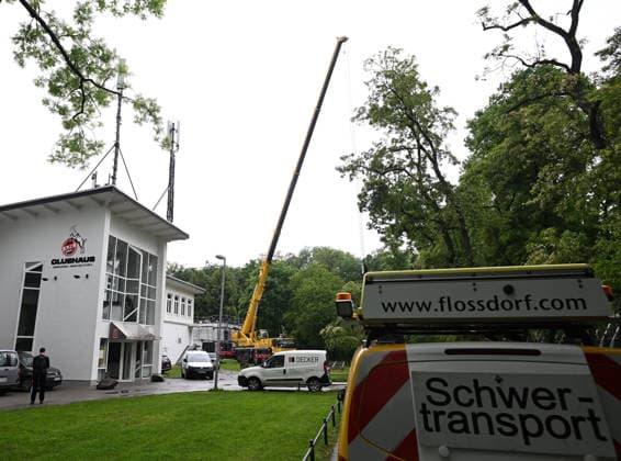 20.05.2026, xophax, Fussball 1.Bundesliga, Köln Cologne , 1.FC Koeln. Saisonende. Sommerpause. Geissbockheim. Renovierungen und Umbau. Koeln