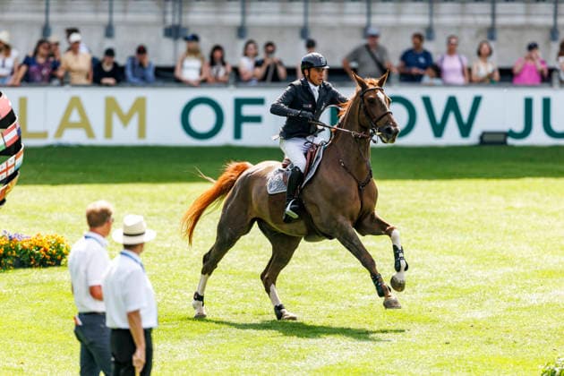 AACHEN - TSCHIO 2026, AACHEN - TSCHIO 2026 EPAILLARD Julien (FRA), Easy Up de Grandry CSI5* - Jumping competition (penalties time) Prize of CHIO Aachen CAMPUS Aachen, Reitstadion Soers 23. May 2026 -