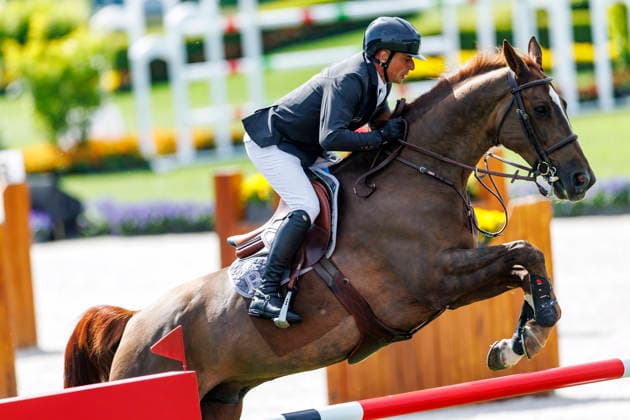 AACHEN - TSCHIO 2026, AACHEN - TSCHIO 2026 EPAILLARD Julien (FRA), Easy Up de Grandry CSI5* - Jumping competition (penalties time) Prize of CHIO Aachen CAMPUS Aachen, Reitstadion Soers 23. May 2026 -