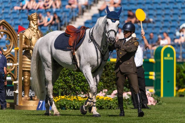 125 Andres Azcarraga on DMS Enkidu (MEX) during the TSCHIO 2026 (CHIO 2026) - Prize of CHIO Aachen CAMPUS - CSI5* - Jumping competition at the Allianz Park in Aachen, Germany Copyright: xMartinxPitschx xSPPx Sportspressphoto_153261