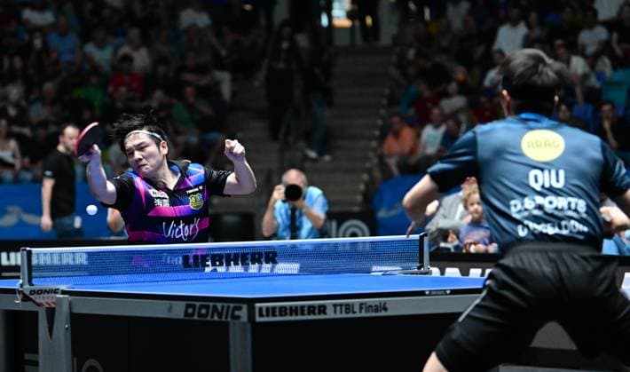 RECORD DATE NOT STATED Olympiasieger Fan Zhendong im Finale des TTBL Final Four in Frankfurt. Der chinesische Olympiasieger Fan Zhendong vom 1. FC Saarbrücken-TT im Einsatz gegen Borussia Düsseldorf im Finale des TTBL Final Four in Frankfurt am Main in der Süwag Energie Arena am 31. Mai 2026. Frankfurt am Main Hessen Germany