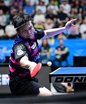 RECORD DATE NOT STATED Olympiasieger Fan Zhendong im Finale des TTBL Final Four in Frankfurt. Der chinesische Olympiasieger Fan Zhendong vom 1. FC Saarbrücken-TT im Einsatz gegen Borussia Düsseldorf im Finale des TTBL Final Four in Frankfurt am Main in der Süwag Energie Arena am 31. Mai 2026. Frankfurt am Main Hessen Germany