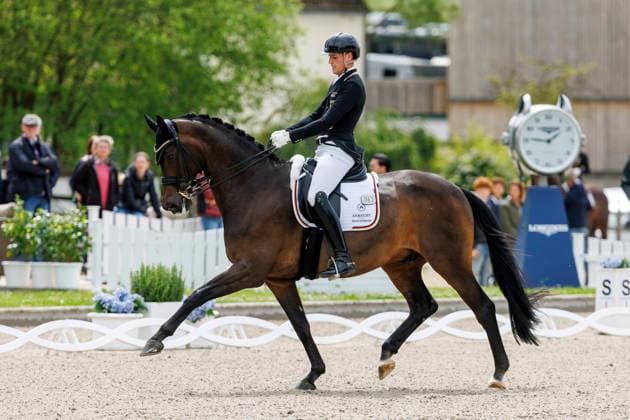 Sport Bilder des Tages BALVE - LONGINES Balve Optimum 2026, BALVE - LONGINES Balve Optimum 2026 WANDRES Frederic (GER), Bluetooth OLD Grand Prix de Dressage - Qualifikationsprüfung DressurpruÌˆfung Kl. S