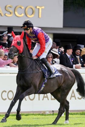 17.06.2026, Ascot, Windsor, GBR - Point of Law with James Doyle. Ascot racecourse. (Pferd, Jockey, Point of Law, Doyle, Aufgalopp) 260617D065xROYAL_ASCOT.JPG