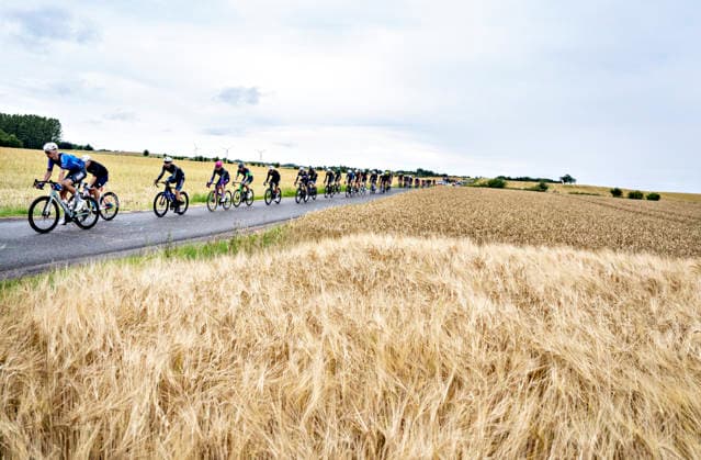 PostNord Denmark Tour - Stage 3 The peloton passes a cornfield at Ravning during stage 3 of the PostNord Denmark Tour, Friday, July 31, 2026. The stage is 202.9 kilometers long and runs from Fredericia to Vejle. , Vejle Denmark Copyright: HenningxBagger HenningxBaggerx spdk20260731-155011-L