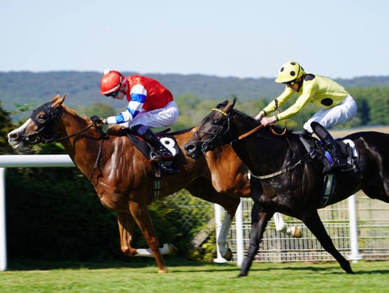 Horse Racing - 2026 Flat Season - Qatar Goodwood Festival ˜Glorious Goodwood™ - Day Four ˜King George Day - Goodwood Racecourse - Friday 31st July 2026 Race Five 16:10 The Regent seven seas Cruises Bentinck conditions Stakes Winner, Dylan Browne McMonagle on Galen COLORSPORT ANDREW COWIE 
