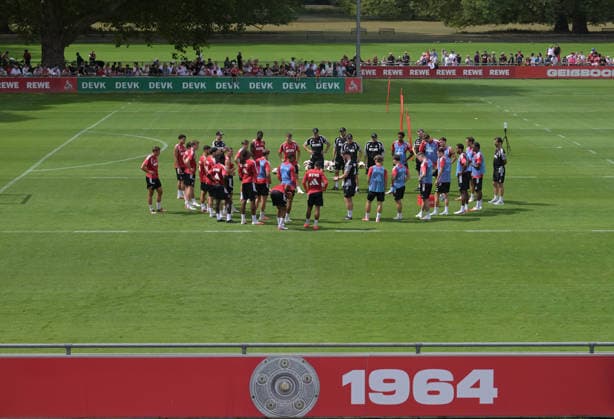 06.08.2026, xophax, Fussball 1.Bundesliga, 1.FC Koeln Training am Geissbockheim des 1.FC Köln. Platz 1 Fans . Zuschauer. Köln