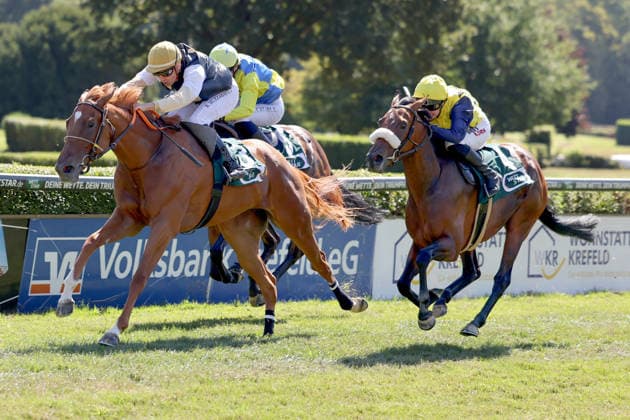 08.08.2026, Krefeld, Nordrhein-Westfalen, GER - Best Charming (links) mit Bauyrzhan Murzabayev gewinnt. Galopprennbahn Krefeld-Stadtwald. (Pferd, Jockey, Best Charming, Murzabayev, Sieg, Ziel, Zielankunft) 260808SG915KREFELD.JPG