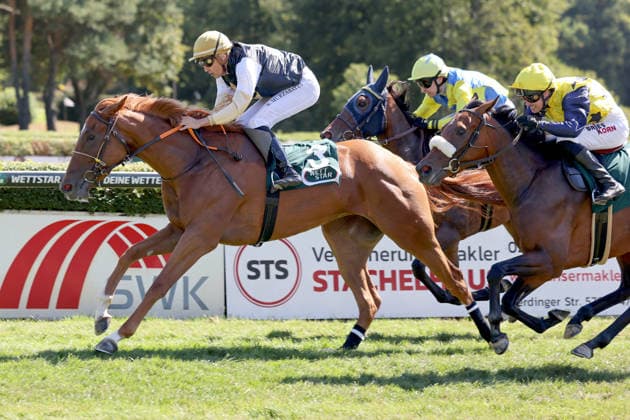 08.08.2026, Krefeld, Nordrhein-Westfalen, GER - Best Charming mit Bauyrzhan Murzabayev gewinnt. Galopprennbahn Krefeld-Stadtwald. (Pferd, Jockey, Best Charming, Murzabayev, Sieg, Ziel, Zielankunft) 260808SG916KREFELD.JPG