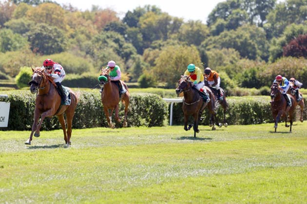 08.08.2026, Krefeld, Nordrhein-Westfalen, GER - Darwinist mit Sibylle Vogt gewinnt. Galopprennbahn Krefeld-Stadtwald. (Pferd, Jockey, Darwinist, Vogt, Sieg, Ziel, Zielankunft) 260808SG929KREFELD.JPG