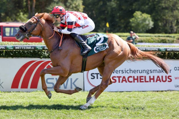 08.08.2026, Krefeld, Nordrhein-Westfalen, GER - Darwinist mit Sibylle Vogt gewinnt. Galopprennbahn Krefeld-Stadtwald. (Pferd, Jockey, Darwinist, Vogt, Sieg, Ziel, Zielankunft) 260808SG931KREFELD.JPG