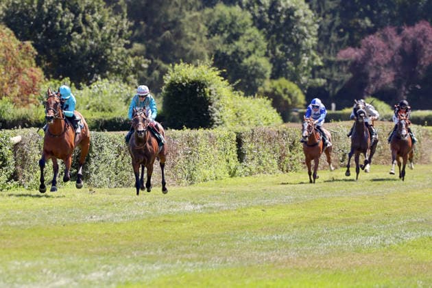 08.08.2026, Krefeld, Nordrhein-Westfalen, GER - Why Limit (links) mit Enzo Crublet gewinnt. Galopprennbahn Krefeld-Stadtwald. (Pferd, Jockey, Why Limit, Crublet, Sieg, Ziel, Zielankunft) 260808SG942KREFELD.JPG