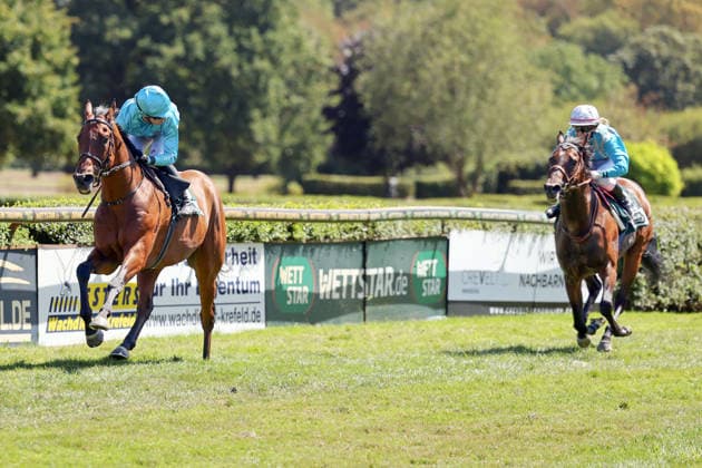 08.08.2026, Krefeld, Nordrhein-Westfalen, GER - Why Limit mit Enzo Crublet gewinnt. Galopprennbahn Krefeld-Stadtwald. (Pferd, Jockey, Why Limit, Crublet, Sieg, Ziel, Zielankunft) 260808SG943KREFELD.JPG