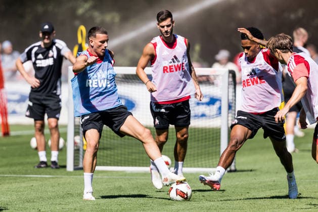 COLOGNE, GERMANY - AUGUST 11: Said El Mala (1. FC Koeln, 13) battles David Fuerst (Fürst, Furst, 1. FC Koeln, 49) for the ball during a training session of season 2026 27 at Geissbockheim on August 11, 2026 in Cologne, Germany. North Rhine Westphalia Germany Copyright: xSteffiexWunderlx