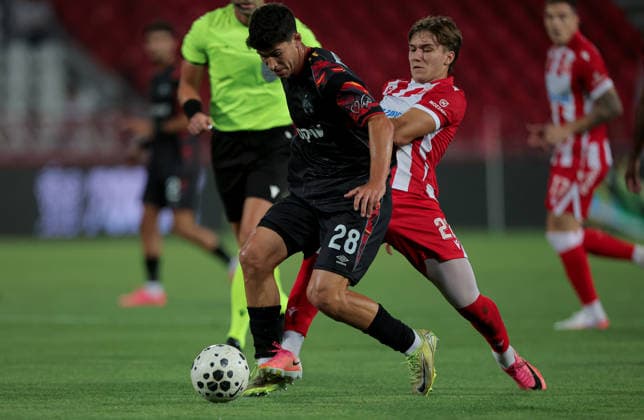 Crvena Zvezda v Hapoel Beer Sheva, UEFA Champions League, third qualifying round, 2nd leg Season 2026 2027 Belgrade, Serbia. 11th August, 2026. Hapoel s Niv Yehoshuha during the UEFA Champions League, third qualifying round, 2nd leg football match between Crvena Zvezda (Red Star) and Hapoel Beer-Sheva at the Rajko Mitic Stadium on August 11, 2026 in Belgrade, Serbia. Belgrade Serbia Copyright: xPedjaxMilosavljevicx x