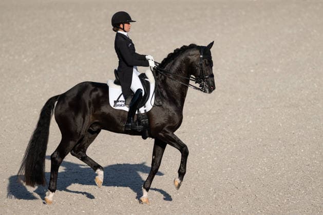 Sport Bilder des Tages 260814 Felicita Simoncic of Austria with horse Four Legends compete in the Dressage Grand Prix Special during day 4 of the 2026 FEI World Championships on August 14, 2026 in Aachen. Photo: Emma Wallskog BILDBYRAN kod EW EW0682 ridsport equestrian rid-vm 2026 2026 fei world championships bbeng ridsport-vm dressage dressyr Copyright: EMMAxWALLSKOG BB260814EW001