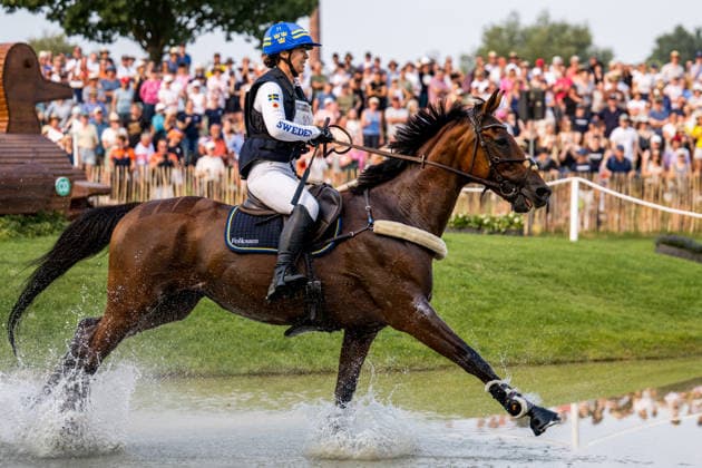 260815 Sofia Sjöborg of Sweden with horse Bryjamolga van het Marienshof compete in the Eventing Cross-Country during day 5 of the 2026 FEI World Championships on August 15, 2026 in Aachen. Photo: Emma Wallskog BILDBYRAN kod EW EW0685 ridsport equestrian rid-vm 2026 2026 fei world championships bbeng ridsport-vm fälttävlan eventing terrängritt terräng sweden sverige Copyright: EMMAxWALLSKOG BB260815EW018
