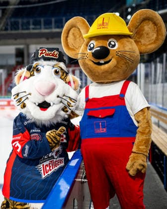 16.08.2026 - Eishockey - Saison 2026 2027 - Penny DEL - Public Practice der Nürnberg Ice Tigers Icetigers - ThHa - xthxhax - Pucki (Maskottchen, Nürnberg Ice Tigers, NIT ) mit Maxmaus (Maskottchen, Firma Max Bögl )