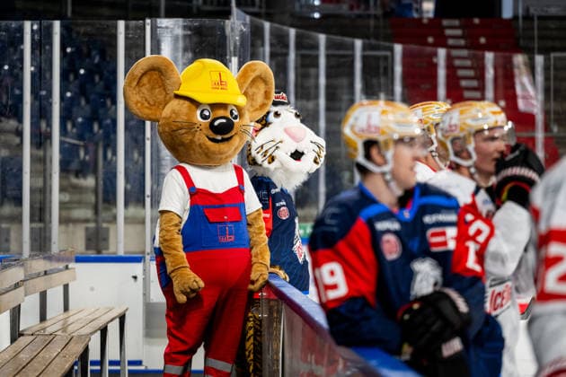 16.08.2026 - Eishockey - Saison 2026 2027 - Penny DEL - Public Practice der Nürnberg Ice Tigers Icetigers - ThHa - xthxhax - Maxmaus (Maskottchen, Firma Max Bögl ) mit Pucki (Maskottchen, Nürnberg Ice Tigers, NIT ) neben dem Eis