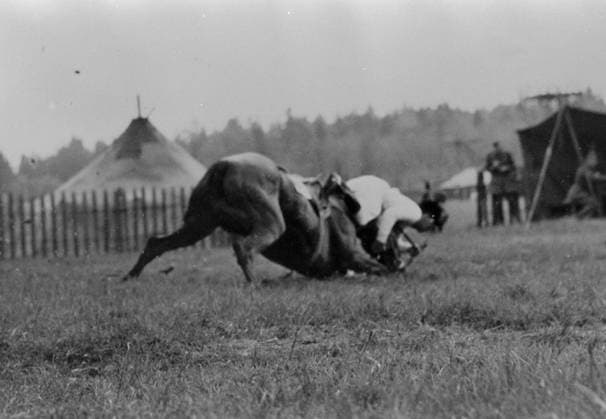Hästsport, fälttävlan.Tävlingsbild. Vinnaren av dressyrprovet O. Rothe, Tyskland pa Sissi, gar omkull efter sista hindret för mal, pa hinderban. OS, Stockholm, 1956-06-12, Sverige. Editors note: Exact date unknown. Fotograf: SCIF BILDBYRÅN COP 350 Stockholm Sweden Copyright: xScifx