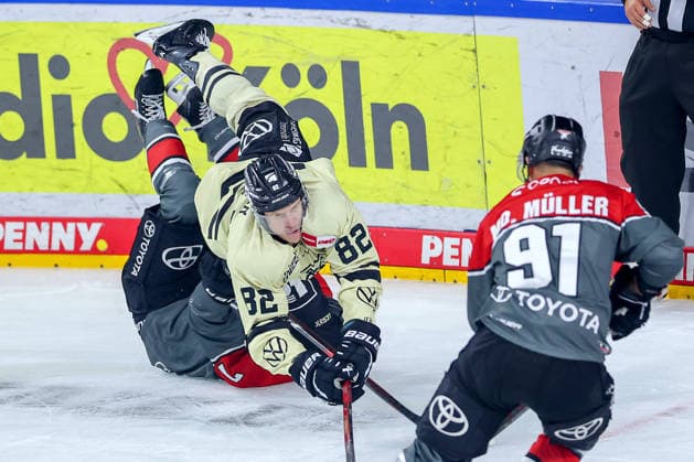 18.09.2026, Eishockey, DEL, Kölner Haie - Grizzlys Wolfsburg, 1.Spieltag, Saison 2026 27, Lanxess-Arena Köln: Will Graber (Grizzlys Wolfsburg 82) stürzt im Zweikampf gegen Carlos Händel (Koelner Haie 07) auf das Eis Nordrhein-Westfalen Deutschland