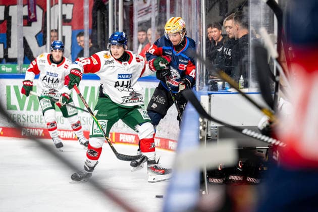 18.09.2026 - Eishockey - Saison 2026 2027 - Penny DEL - Nürnberg Ice Tigers Icetigers - Augsburger Panther Augsburg - ThHa - xthxhax - Moritz Elias (46, Augsburger Panther, AEV ) Josef Eham (44, Nürnberg Ice Tigers, NIT ) Check
