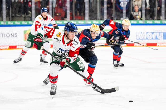 18.09.2026 - Eishockey - Saison 2026 2027 - Penny DEL - Nürnberg Ice Tigers Icetigers - Augsburger Panther Augsburg - ThHa - xthxhax - Alexander Blank (26, Augsburger Panther, AEV ) Austin Magera (19, Nürnberg Ice Tigers, NIT )