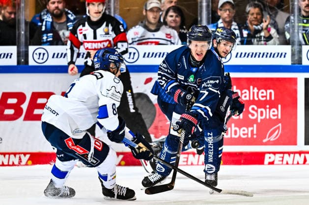 Emil Johansson (Iserlohn Roosters, 57) Elias Paul (ERC Ingolstadt, 8), GER, Iserlohn Roosters vs. ERC Ingolstadt, Eishockey, Penny-DEL, 1. Spieltag, Spielzeit 2026 2027, 19.09.2026, GER, Iserlohn Roosters vs. ERC Ingolstadt, Eishockey, Penny-DEL, 1. Spieltag, Spielzeit 2026 2027, 19.09.2026 Iserlohn Copyright: xJonasxBrockmann Eibner-Pressefotx EP_JBN