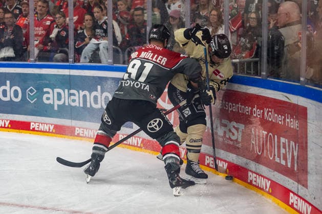 Zweikampf zwischen Moritz Mueller (Koelner Haie, 91) und Tyler Morley (Grizzlys Wolfsburg, 86). Koelner Haie vs. Grizzlys Wolfsburg, Eishockey, Penny DEL, 01. Spieltag, Saison 2026 2027, 18.09.2026 Koelner Haie vs. Grizzlys Wolfsburg, Eishockey, Penny DEL, 01. Spieltag, Saison 2026 2027, 18.09.2026 Köln Copyright: xEibner-Pressefoto ThomasxHaeslerx EP_THR