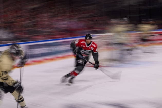 COLOGNE, GERMANY - 18 SEPTEMBER, 2026: Kevin Niedenz - The PENNY DEL Ice hockey, Eishockey match Koelner Haie vs. Grizzlys Wolfsburg at LANXESS arena.  Copyright: xVitaliixKliuievx