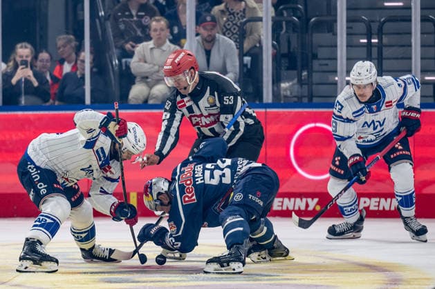 Linesperson Joshua Roemer fuehrt ein Bully Faceoff aus zwischen Luke Esposito (Adler Mannheim, 19) und Patrick Hager (EHC Red Bull Muenchen, 52) GER, EHC Red Bull Muenchen vs. Adler Mannheim, Eishockey, DEL, Saison 2026 2027, 1. Spieltag, 18.09.2026. Foto: HMB Media Heike Feiner Copyright: HMBxMedia HeikexFeiner