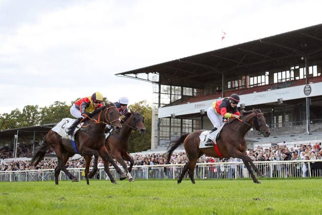 19.09.2026, Hoppegarten, Brandenburg, GER - Sky Emperor mit Nora Cronauer gewinnt. Galopprennbahn Hoppegarten. (Pferd, Jockey, Sky Emperor, Cronauer, Sieg, Ziel, Zielankunft, Fegentri) 260919D503HOPPEGARTEN.JPG