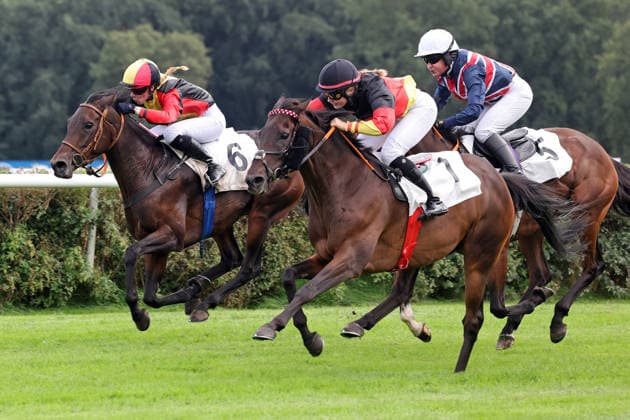 19.09.2026, Hoppegarten, Brandenburg, GER - Sky Emperor mit Nora Cronauer (schwarze Kappe) gewinnt. Galopprennbahn Hoppegarten. (Pferd, Jockey, Sky Emperor, Cronauer, Sieg, Ziel, Zielankunft, Fegentri) 260919D504HOPPEGARTEN.JPG
