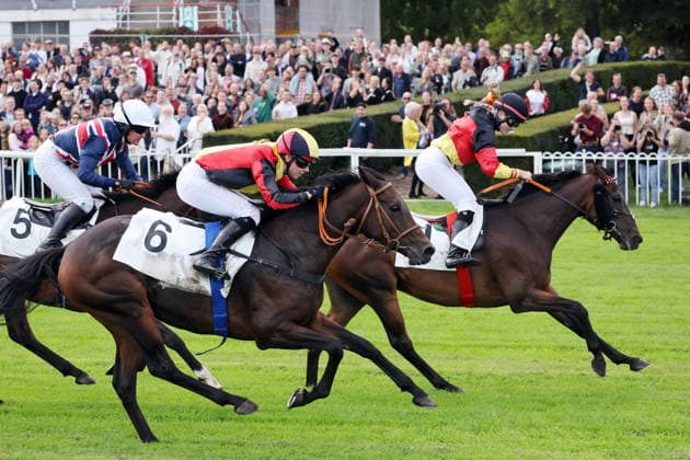 19.09.2026, Hoppegarten, Brandenburg, GER - Sky Emperor mit Nora Cronauer gewinnt. Galopprennbahn Hoppegarten. (Pferd, Jockey, Sky Emperor, Cronauer, Sieg, Ziel, Zielankunft, Fegentri) 260919D505HOPPEGARTEN.JPG