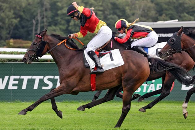 19.09.2026, Hoppegarten, Brandenburg, GER - Sky Emperor mit Nora Cronauer gewinnt. Galopprennbahn Hoppegarten. (Pferd, Jockey, Sky Emperor, Cronauer, Sieg, Ziel, Zielankunft, Fegentri) 260919D506HOPPEGARTEN.JPG