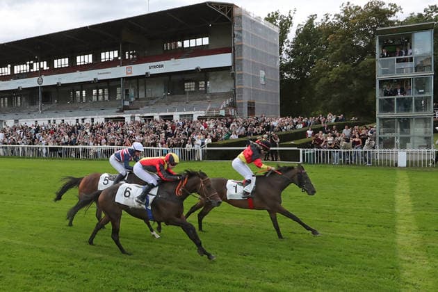 19.09.2026, Hoppegarten, Brandenburg, GER - Sky Emperor mit Nora Cronauer gewinnt. Galopprennbahn Hoppegarten. (Pferd, Jockey, Sky Emperor, Cronauer, Sieg, Ziel, Zielankunft, Fegentri) 260919D507HOPPEGARTEN.JPG