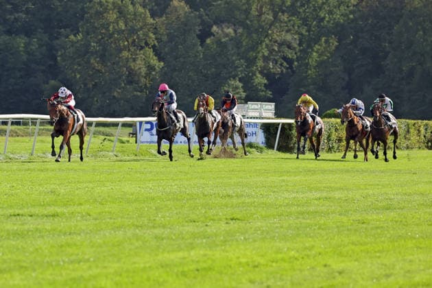 19.09.2026, Hoppegarten, Brandenburg, GER - Amigo Charly mit Michaela Malacova gewinnt. Galopprennbahn Hoppegarten. (Pferd, Jockey, Amigo Charly, Malacova, Sieg, Ziel, Zielankunft) 260919D511HOPPEGARTEN.JPG