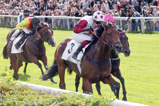 19.09.2026, Hoppegarten, Brandenburg, GER - Amigo Charly mit Michaela Malacova gewinnt. Galopprennbahn Hoppegarten. (Pferd, Jockey, Amigo Charly, Malacova, Sieg, Ziel, Zielankunft) 260919D512HOPPEGARTEN.JPG