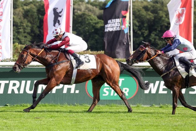 19.09.2026, Hoppegarten, Brandenburg, GER - Amigo Charly mit Michaela Malacova gewinnt. Galopprennbahn Hoppegarten. (Pferd, Jockey, Amigo Charly, Malacova, Sieg, Ziel, Zielankunft) 260919D514HOPPEGARTEN.JPG
