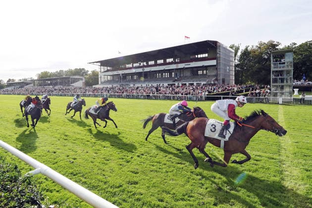 Sport Bilder des Tages 19.09.2026, Hoppegarten, Brandenburg, GER - Amigo Charly mit Michaela Malacova gewinnt. Galopprennbahn Hoppegarten. (Pferd, Jockey, Amigo Charly, Malacova, Sieg, Ziel, Zielankunft) 260919D515HOPPEGARTEN.JPG