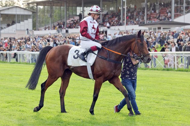 19.09.2026, Hoppegarten, Brandenburg, GER - Amigo Charly mit Michaela Malacova nach dem Sieg. Galopprennbahn Hoppegarten. (Pferd, Jockey, Amigo Charly, Malacova, Sieg) 260919D517HOPPEGARTEN.JPG