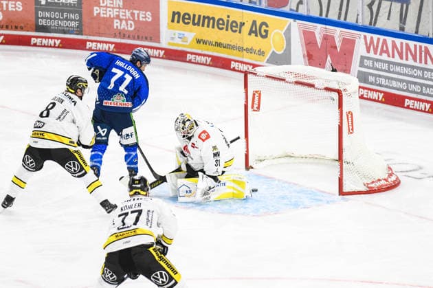 Straubing Tigers vs. Krefeld Pinguine, Eishockey, Deutsche Eishockey Liga, Penny DEL, 1.Spieltag, Saison 2026 2027, 23.09.2026 Nicholas Halloran (Straubing Tigers) ueberwindet Felix Bick (Krefeld Pinguine), Eishockey Herren, Deutsche Eishockey Liga, Penny DEL, 1.Spieltag, Saison 2026 2027 am 20.09.2026 im Eisstadion am Pulverturm, Straubing Tigers (blau) gegen Krefeld Pinguine (weiss)