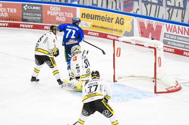 Straubing Tigers vs. Krefeld Pinguine, Eishockey, Deutsche Eishockey Liga, Penny DEL, 1.Spieltag, Saison 2026 2027, 23.09.2026 Nicholas Halloran (Straubing Tigers) ueberwindet Felix Bick (Krefeld Pinguine), Eishockey Herren, Deutsche Eishockey Liga, Penny DEL, 1.Spieltag, Saison 2026 2027 am 20.09.2026 im Eisstadion am Pulverturm, Straubing Tigers (blau) gegen Krefeld Pinguine (weiss)
