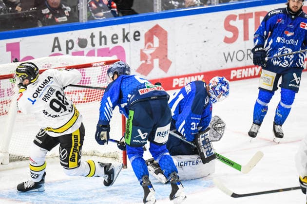 Straubing Tigers vs. Krefeld Pinguine, Eishockey, Deutsche Eishockey Liga, Penny DEL, 1.Spieltag, Saison 2026 2027, 23.09.2026 Jakub Skarek (Straubing Tigers) verhindert den Treffer, Eishockey Herren, Deutsche Eishockey Liga, Penny DEL, 1.Spieltag, Saison 2026 2027 am 20.09.2026 im Eisstadion am Pulverturm, Straubing Tigers (blau) gegen Krefeld Pinguine (weiss)