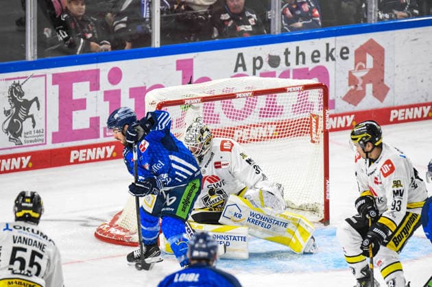 Straubing Tigers vs. Krefeld Pinguine, Eishockey, Deutsche Eishockey Liga, Penny DEL, 1.Spieltag, Saison 2026 2027, 23.09.2026 Spencer Kersten (Straubing Tigers) mit dem Puck vor Felix Bick (Krefeld Pinguine), Eishockey Herren, Deutsche Eishockey Liga, Penny DEL, 1.Spieltag, Saison 2026 2027 am 20.09.2026 im Eisstadion am Pulverturm, Straubing Tigers (blau) gegen Krefeld Pinguine (weiss)